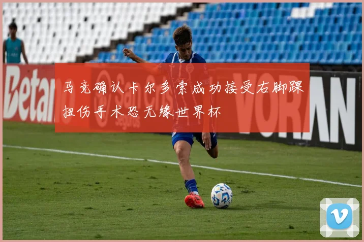 马竞确认卡尔多索成功接受右脚踝扭伤手术恐无缘世界杯